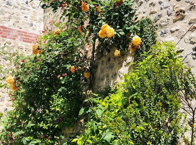 Maison D'architecte En Plein Coeur D'honfleur Avec Bain Nordique *